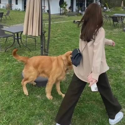 痴迷